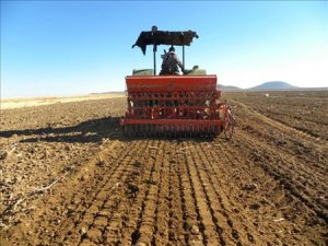 Preparing soil fertilization training