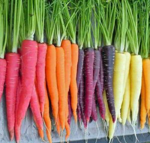 Pick Carrot Type