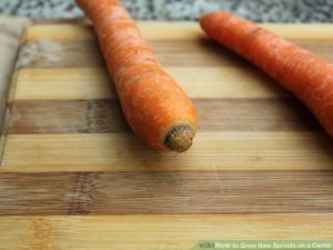 Planting carrot residue